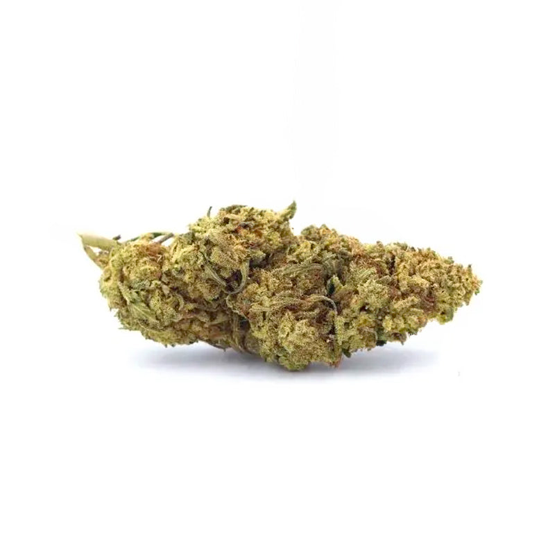 Lemon indoor 1 gr