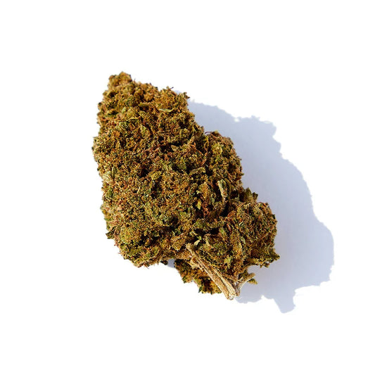 Critical CBD-X 20%1 gramme
